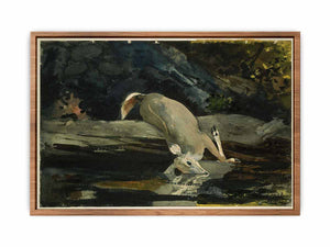 The Fallen Deer
