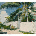 A Garden in Nassau