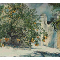 Orange trees and gate