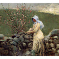 Peach Blossoms