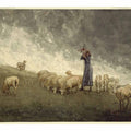 Shepherdess Tending Sheep