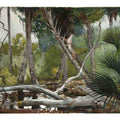 In the Jungle, Florida