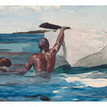 The Sponge Diver