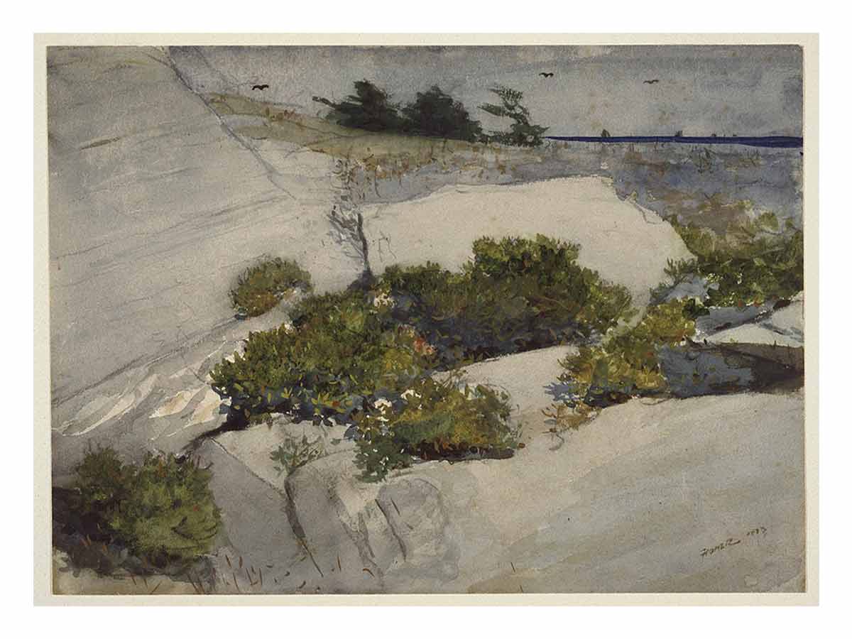 Maine Cliffs