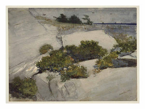 Maine Cliffs