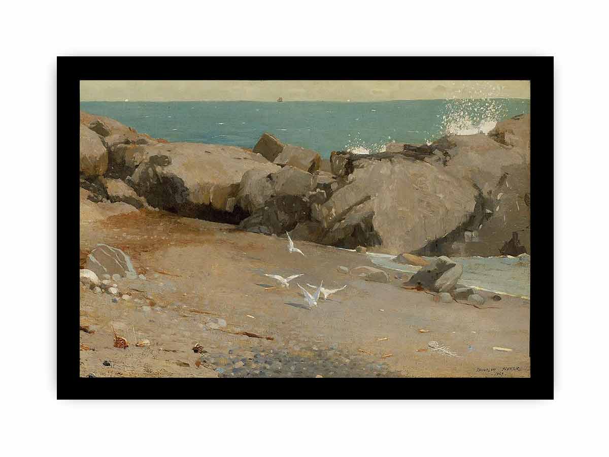 Rocky Coast and Gulls