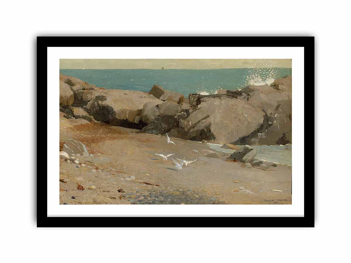 Rocky Coast and Gulls