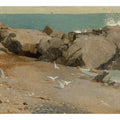 Rocky Coast and Gulls