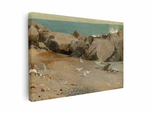 Rocky Coast and Gulls