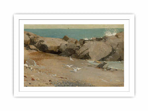 Rocky Coast and Gulls