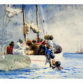 Sponge Fishing