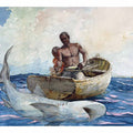 Shark fishing