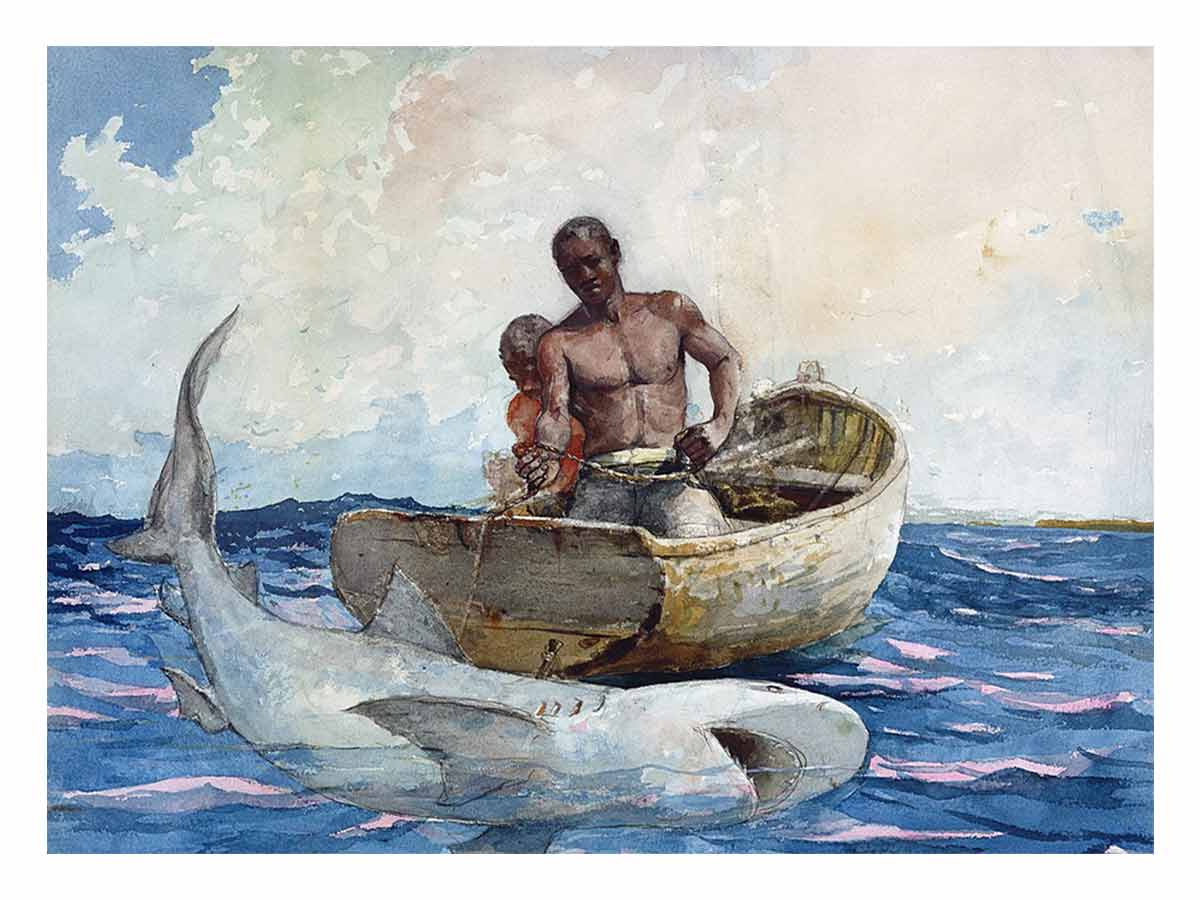 Shark fishing