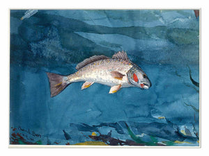 Channel Bass