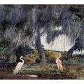 At Tampa