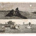 Flirting on the Seashore and on the Meadow