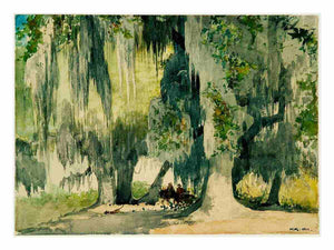 Among the Oaks (Live Oaks)