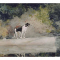 Dog on a Log