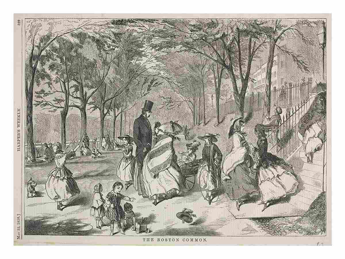 The Boston Common