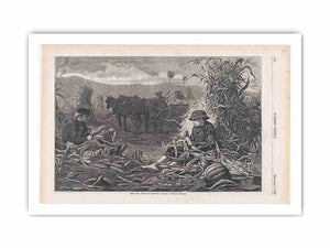 The Last Days of Harvest – Drawn by Winslow Homer