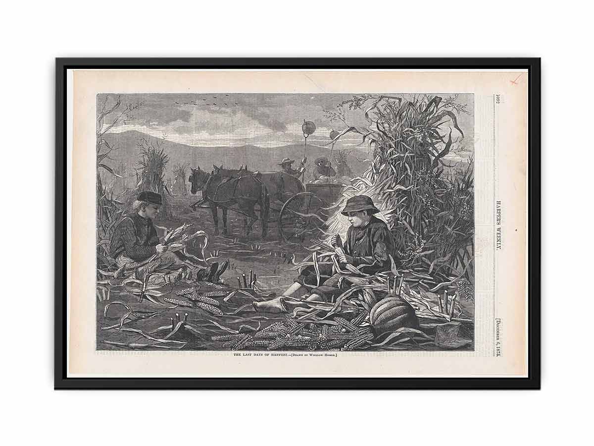 The Last Days of Harvest – Drawn by Winslow Homer