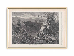 The Last Days of Harvest – Drawn by Winslow Homer