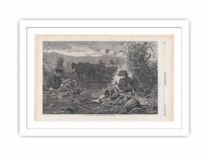 The Last Days of Harvest – Drawn by Winslow Homer
