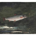 Leaping Trout