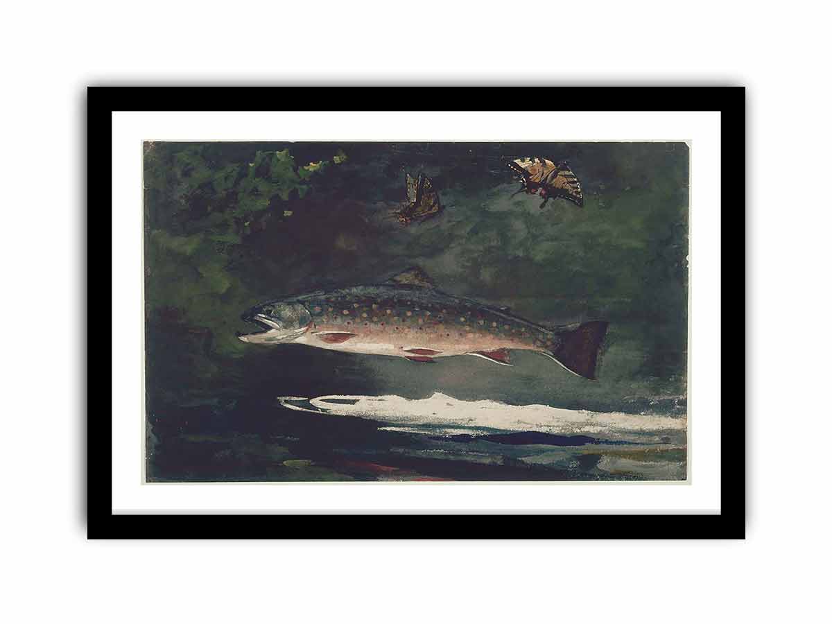 Trout Breaking