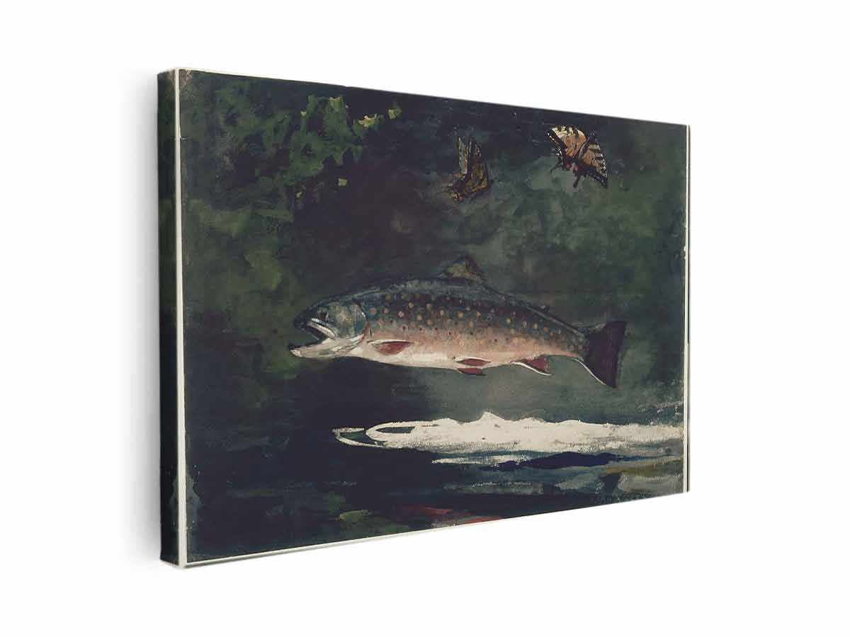 Trout Breaking