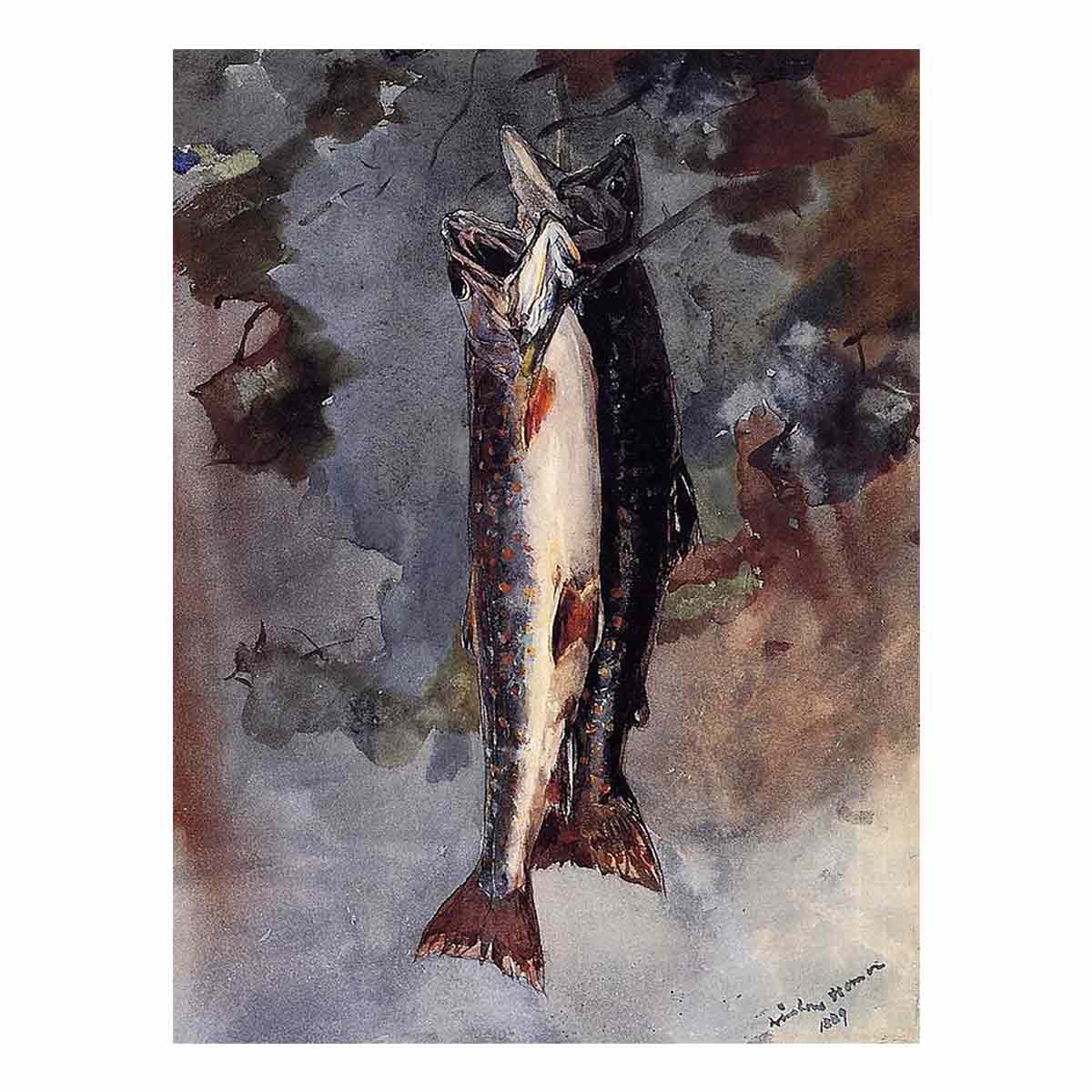 Two Trout