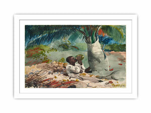 Under the Coco Palm / Under the Cocoanut Palm