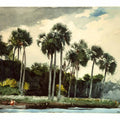 Red Shirt, Homosassa, Florida