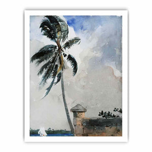A Tropical Breeze, Nassau