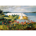 Flower Garden and Bungalow, Bermuda