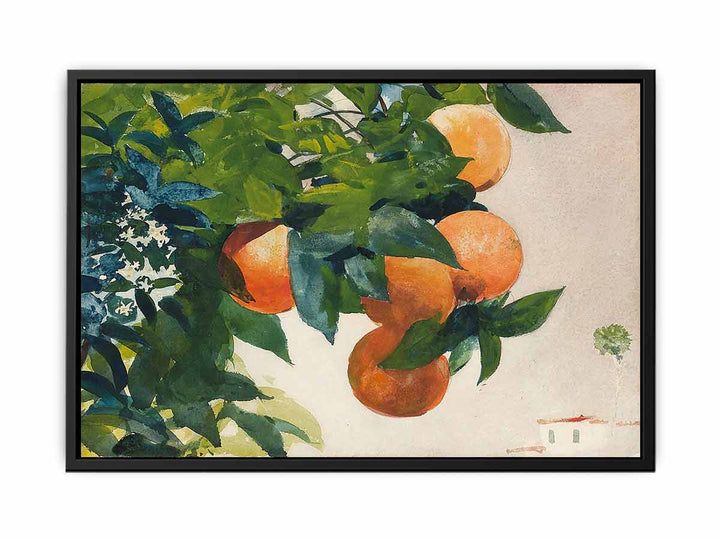 Oranges on a Branch