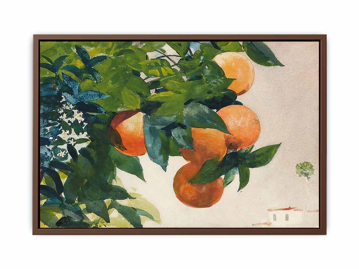 Oranges on a Branch