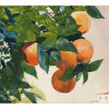 Oranges on a Branch
