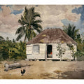 Native Huts, Nassau