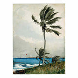 Palm Tree, Nassau artwork preview