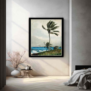 Palm Tree, Nassau