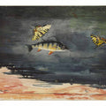 Fish and Butterflies
