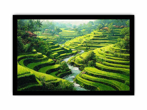 Rice Terrace paddy  bali