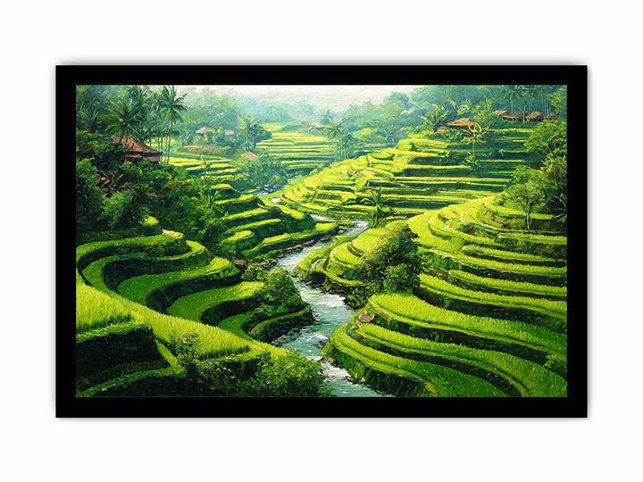 Rice Terrace paddy  bali