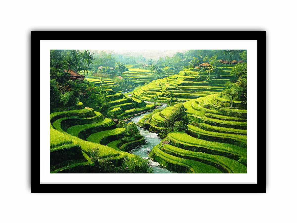Rice Terrace paddy  bali