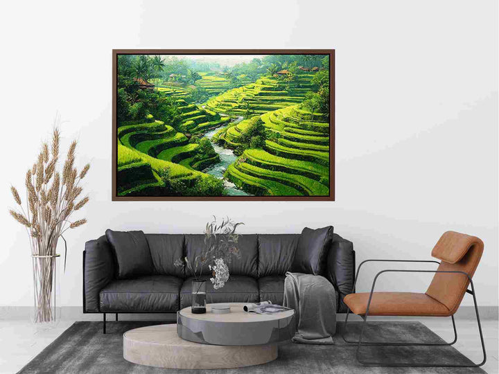 Rice Terrace paddy  bali