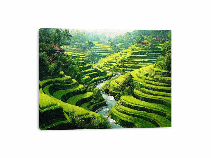 Rice Terrace paddy  bali