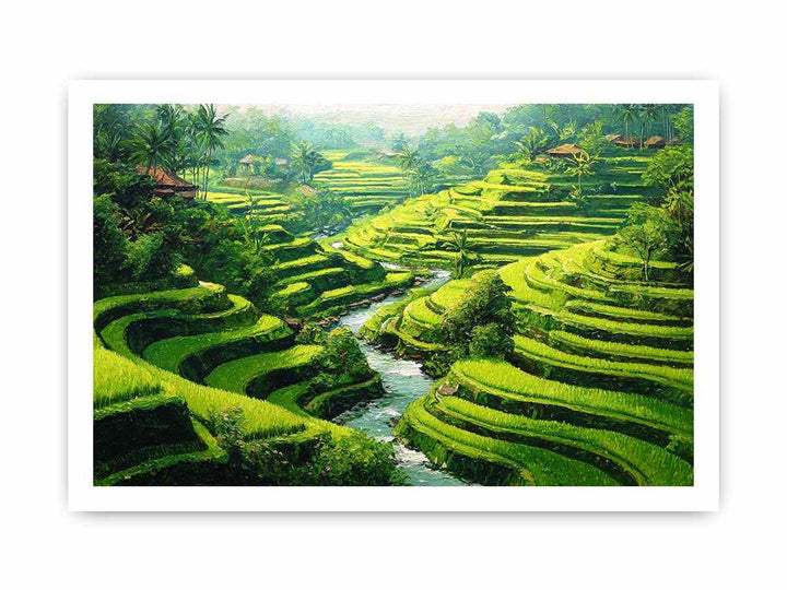Rice Terrace paddy  bali
