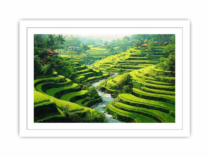 Rice Terrace paddy  bali