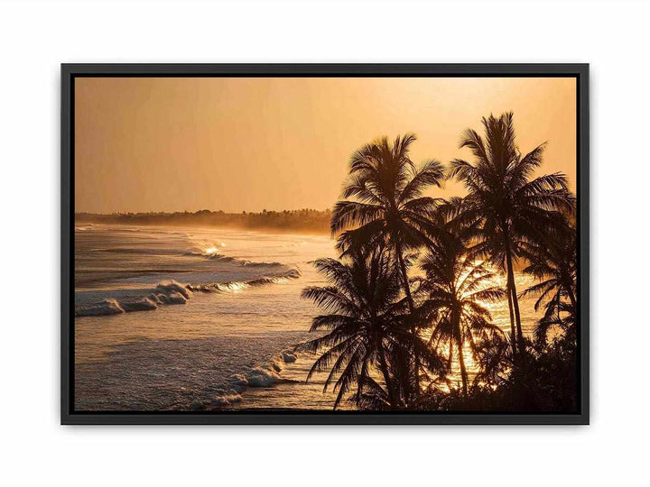 Blai Golden  Sunrise